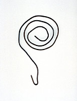 from the series "Lapsus" 2002